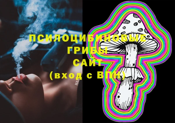 spice Вязьма