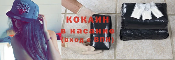 шишки Горно-Алтайск