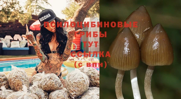 spice Вязьма