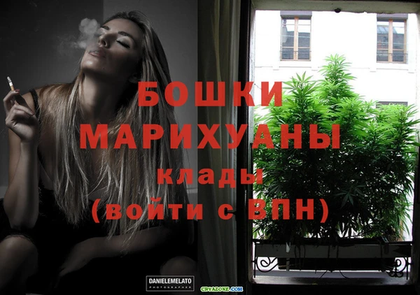 spice Вязьма