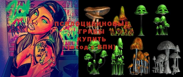 дживик Тавда