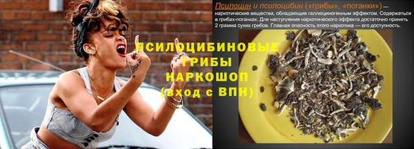 индика Верея