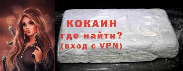 шишки Горно-Алтайск
